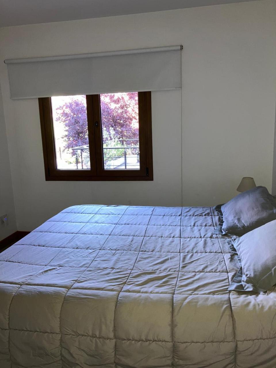 Comodo Departamento Centrico En San Martín de los Andes Εξωτερικό φωτογραφία
